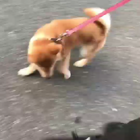 早送りって、、、の画像