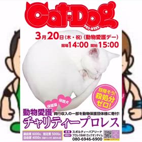 2025/02/21の画像