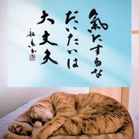 2025/09/18の画像