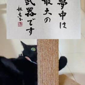 2025/09/17の画像