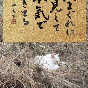 2025/10/08の画像