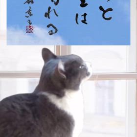 2025/10/14の画像