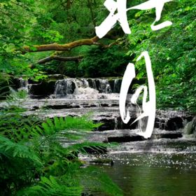 2025/08/06の画像