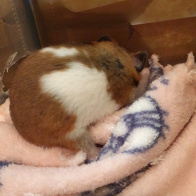ズボッ。の画像