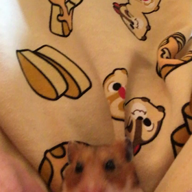 もぐもぐ。の画像