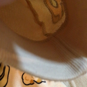 今日の撮れたてこたさん。の画像