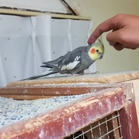 気持ち、想いの画像
