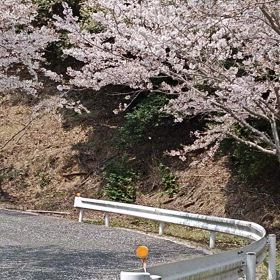 気 まぐれ日記ひとりごとの画像