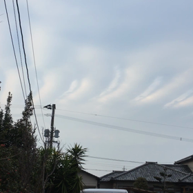 気になるの画像