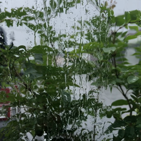 台風〜〜〜〜の画像