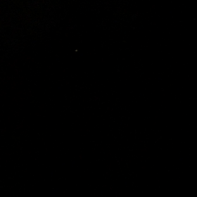 近所を流れる川に沢山の光を見つけました！の画像