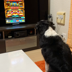 意外な発見ꉂ(ˊᗜˋ*)ヶﾗヶﾗの画像