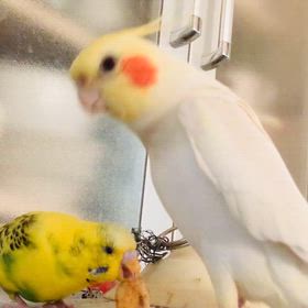 愛が溢れての画像