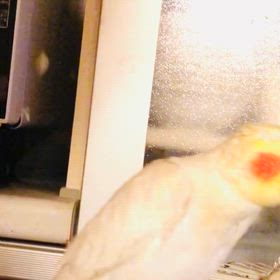 今からカキカキしまーすの画像