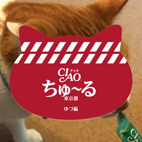 ちゅーるメーカーの画像