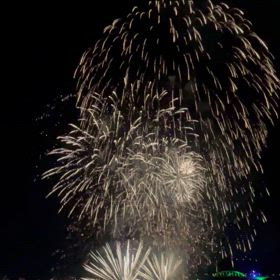 2024/07/29の画像