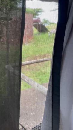 必ずあなたを見たこともない次元へお連れします‼️アフリカで一気に覚醒していこう‼️の記事動画