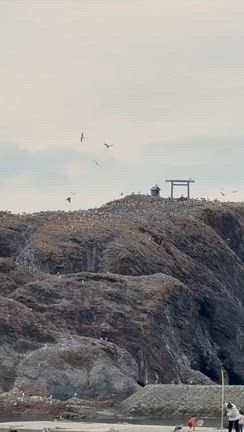 見るだけでそのパワーが入ってくる‼️出雲八百万の神々と繋がる女神リトリート②の記事動画