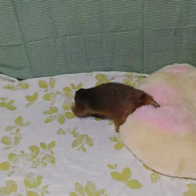 祝！よっちん５歳の画像