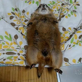 エステの画像