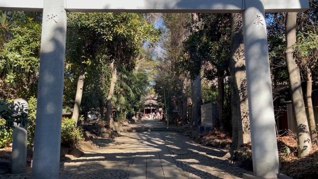 代々木八幡宮の記事動画