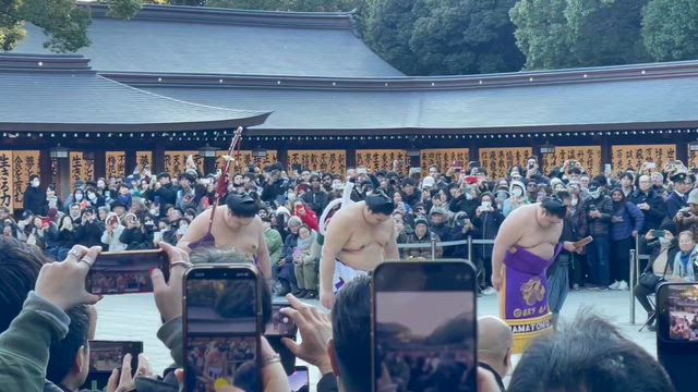 横綱　大の里の記事動画