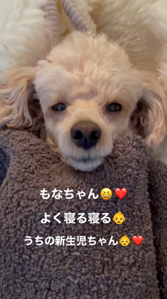 寝る寝るの記事動画