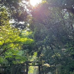 【登拝翌日は、石上神宮の朝拝へ。念願の昇殿参拝やね＾＾】のサムネイル画像