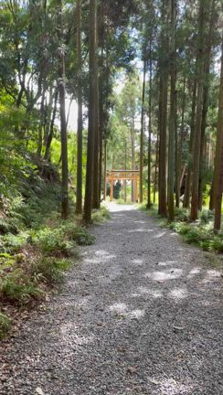 宇宙と地球のエネルギーが出会う場所『出雲大神宮』参拝イベント⛩️振り返り　Vol.135の記事動画
