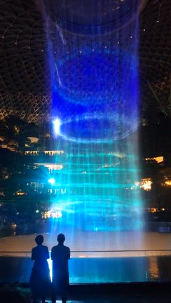 シンガポール⑪夜のショー＆世界一の空港での注意点の記事動画