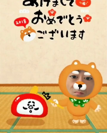 祝❗️2018年❗️戌年の記事動画