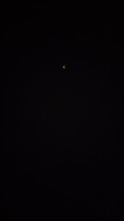 今年もまた…の記事動画