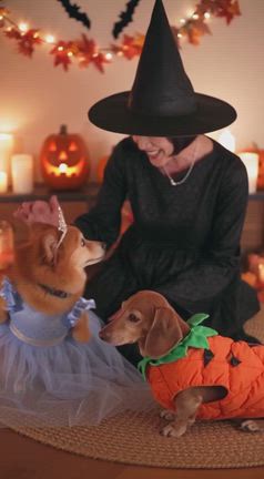 仮装ハロウィン動画、AI動画3本勝負してみた結果がコレの記事動画
