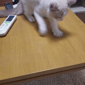 かわいい仕草の画像
