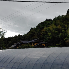 木工場に行って打合せしてきました。の画像