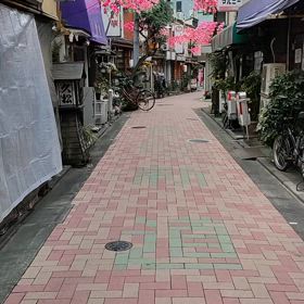the SHOWAの画像
