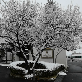 雪化粧の画像