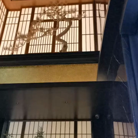 週明けは色々やることあります。の画像