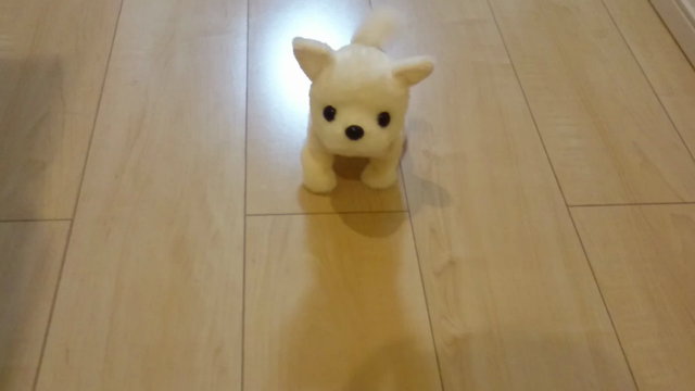 気の早いおもちゃ☆の記事動画
