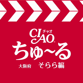 ♯ちゅーるCMの画像