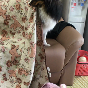 新しい遊び？の画像