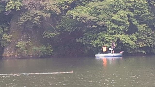 14日相模湖釣果の記事動画