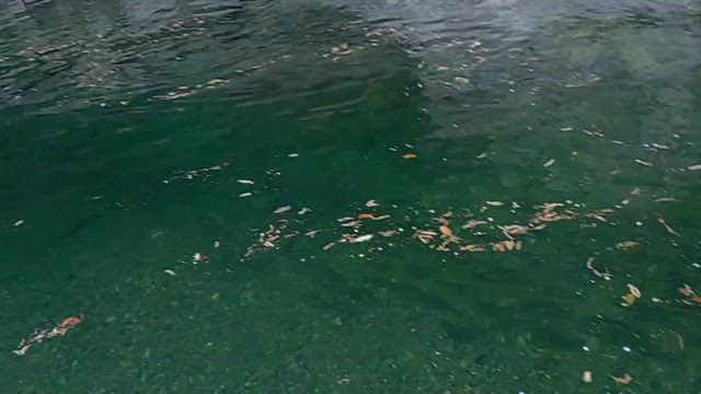 2ページ目の記事動画