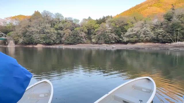 New✨モデルKCR71Hフィーリング動画の記事動画