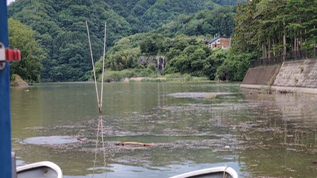 相模湖は七色の記事動画