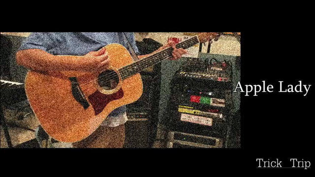 秋フェス Trick Trip初出演！の記事動画