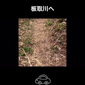 2024/08/20の画像