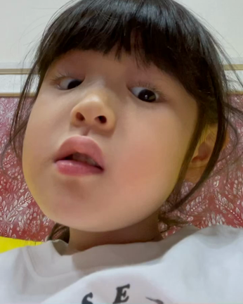 なにしとんの記事動画