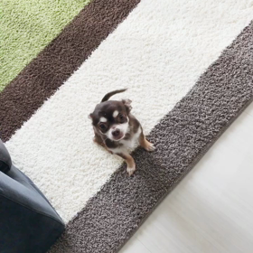 愛するとはの画像