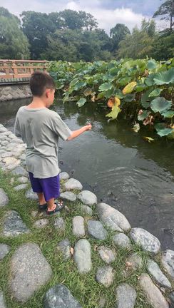 じいじのお墓と由比ヶ浜、逗子で過ごす特別な休日の記事動画